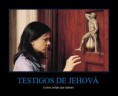 /album/fotogaleria/a539083-477561862255390-1537306451-n-jpg/